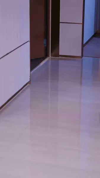 ลูกเขยซ่อนพลัง