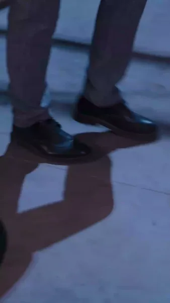 ลูกเขยซ่อนพลัง