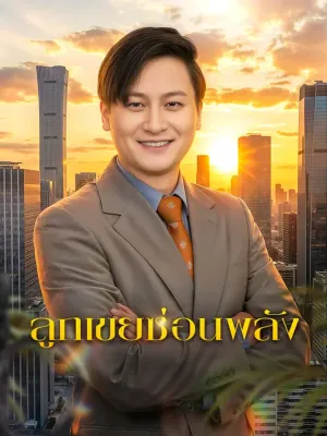 ลูกเขยซ่อนพลัง