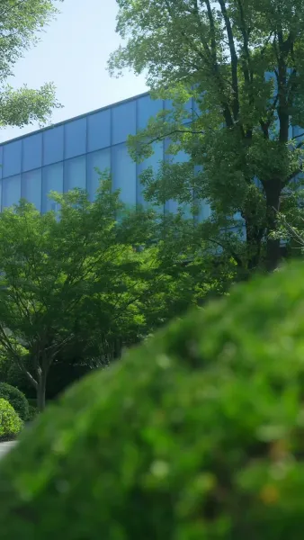 （พากย์ไทย）เล่ห์รักสามีเจ้าชู้