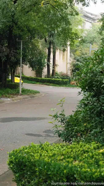 ราชินีคืนบัลลังก์