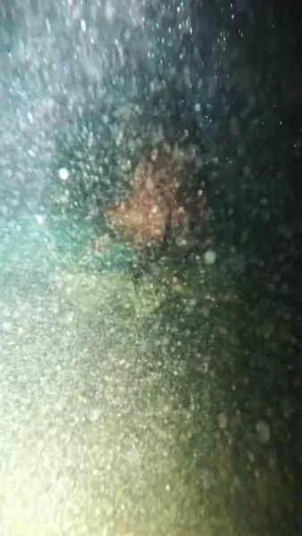 รักไล่ล่า โชคชะตาพาพบคุณชาย