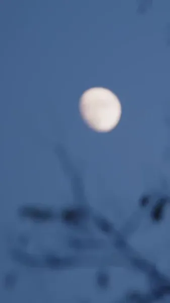 ลาก่อน เจียงเย่