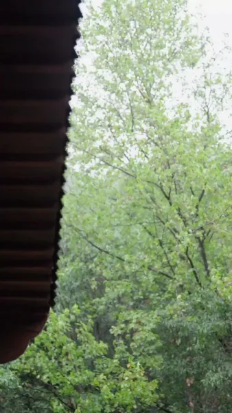 ผู้ชายของข้าเป็นฮ่องเต้ซะได้