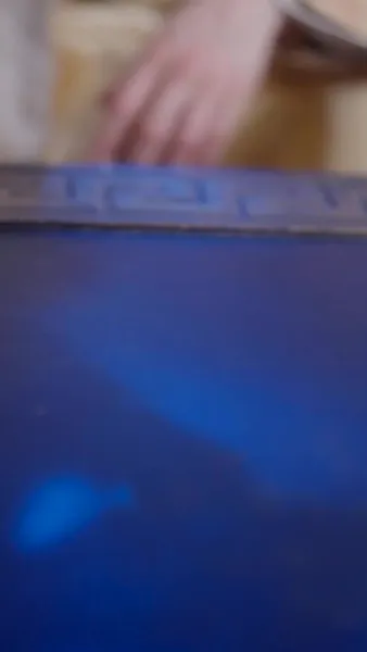 ผู้ชายของข้าเป็นฮ่องเต้ซะได้