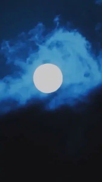 ผู้ชายของข้าเป็นฮ่องเต้ซะได้