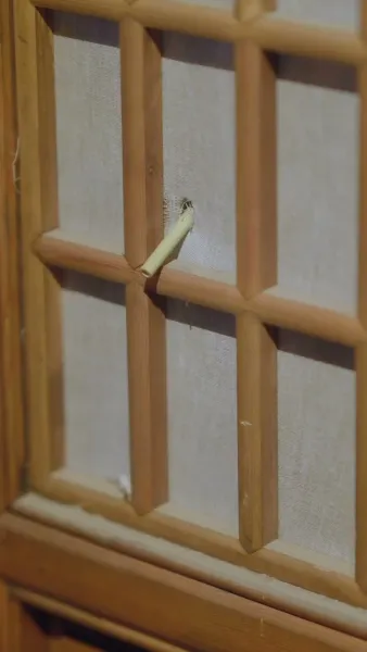 ผู้ชายของข้าเป็นฮ่องเต้ซะได้