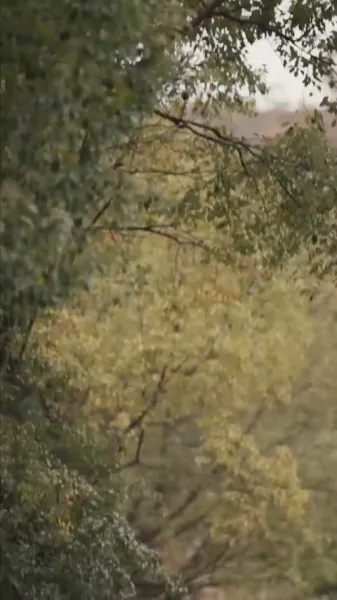 เกิดใหม่: ภารกิจของหมอ