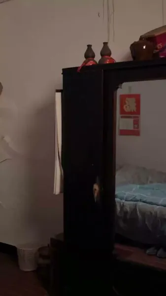 เกิดใหม่: ภารกิจของหมอ