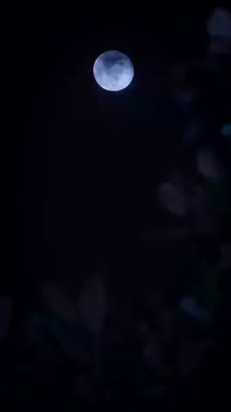 หนีไม่พ้นจากฝ่ามือ