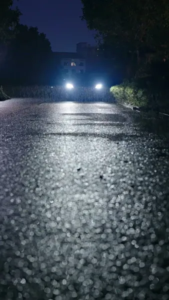 ตกหลุมรักคู่หมั้นตัวแทน