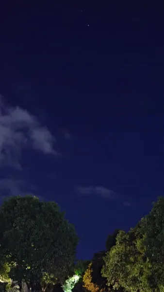 ตกหลุมรักคู่หมั้นตัวแทน