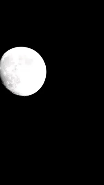 สาวระบำสิงโตผู้ตื่นขึ้น