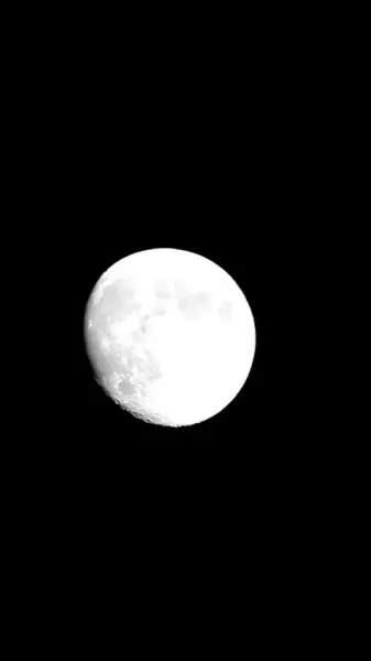 สาวระบำสิงโตผู้ตื่นขึ้น