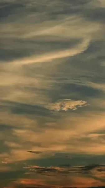 สาวระบำสิงโตผู้ตื่นขึ้น