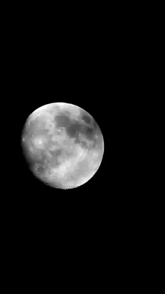 สาวระบำสิงโตผู้ตื่นขึ้น