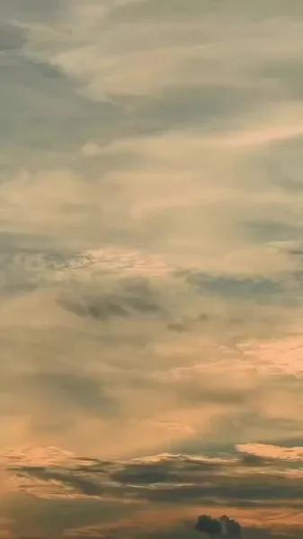 สาวระบำสิงโตผู้ตื่นขึ้น