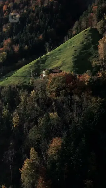 สาปรักพันธุ์อสูร