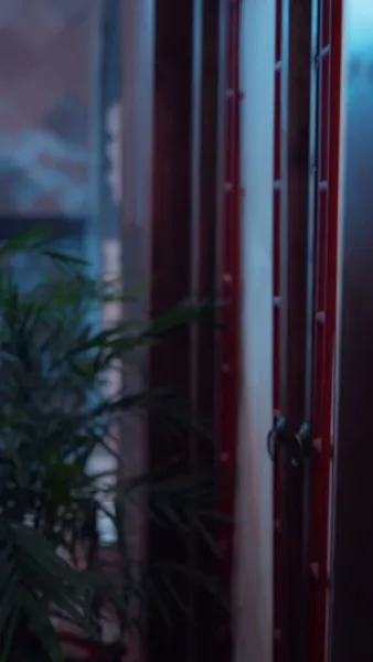  รุ่งอรุณแห่งการแก้แค้น