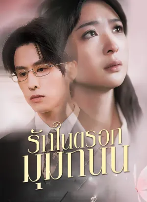 รักในตรอกมุมถนน