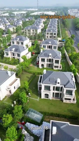 รักในตรอกมุมถนน