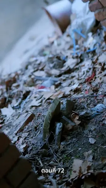 รักในตรอกมุมถนน