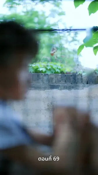 รักในตรอกมุมถนน