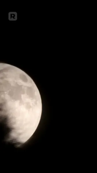 บังเอิญจ้างสามีมหาเศรษฐี