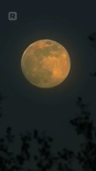 บังเอิญจ้างสามีมหาเศรษฐี