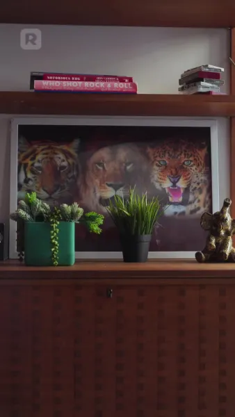 บังเอิญจ้างสามีมหาเศรษฐี