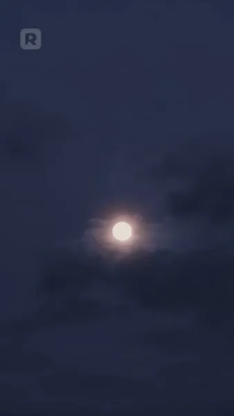 บังเอิญจ้างสามีมหาเศรษฐี