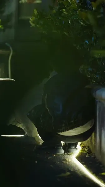 รักนี้แรงเกินร้อย