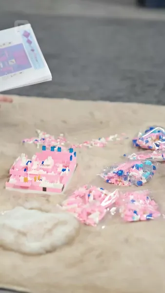 โนวา มังกรน้อยผู้นำโชค