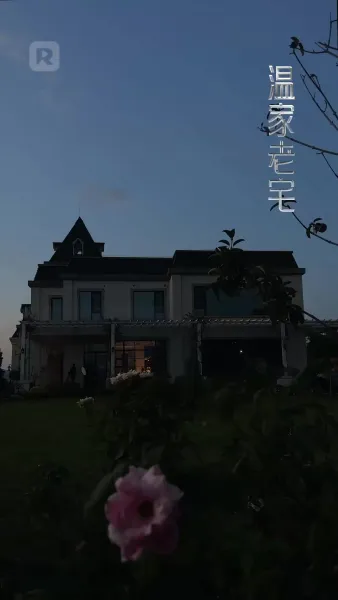 โนวา มังกรน้อยผู้นำโชค