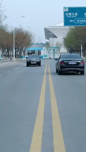  วงศ์เวียนทรยศ