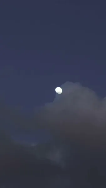 ท่านผู้หญิงของท่าน   เป็นผู้บริหารคุ้มกัน