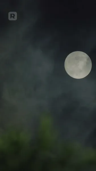 วิวาห์ฟ้าแลบ สามีเย็นชากลับคลั่งรัก