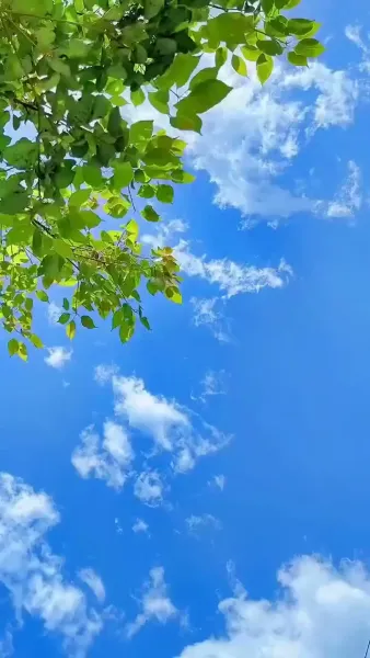 คุกเข่าขอ33รอบ ถึงมีเมีย 