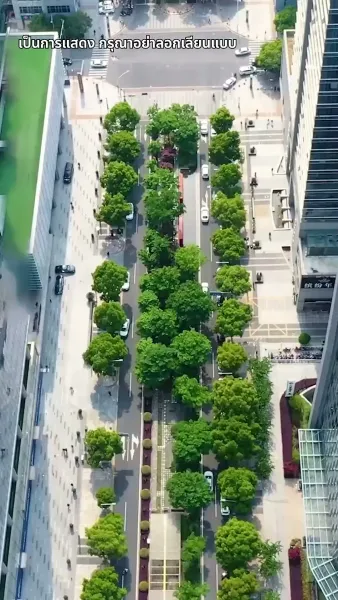 เงินแก้ปัญหาแต่งภรรยาฟ้าแลบ