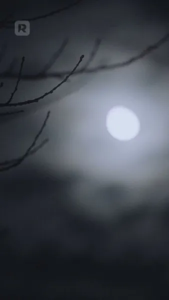 ลูน่าที่แท้จริง