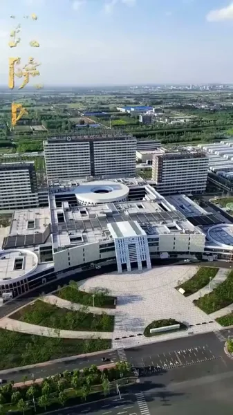 ความรักสีหมอก