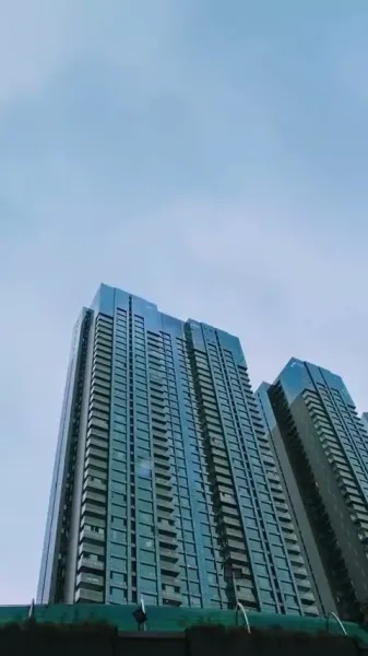 ความรักสีหมอก