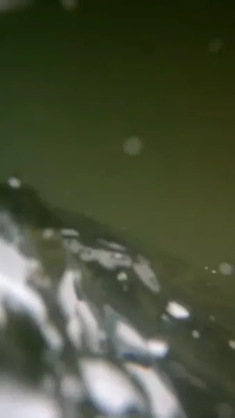 [พากย์ไทย] เกมพิชิตใจพระเอก