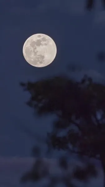 [พากย์ไทย] เกมพิชิตใจพระเอก