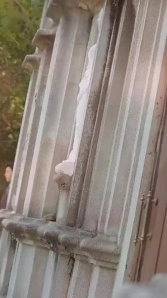 ปริศนาของความรัก