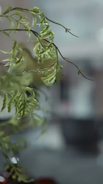 ได้ความรักของเธอ