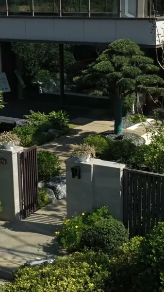 รักที่รอคอยตั้งแต่เด็ก