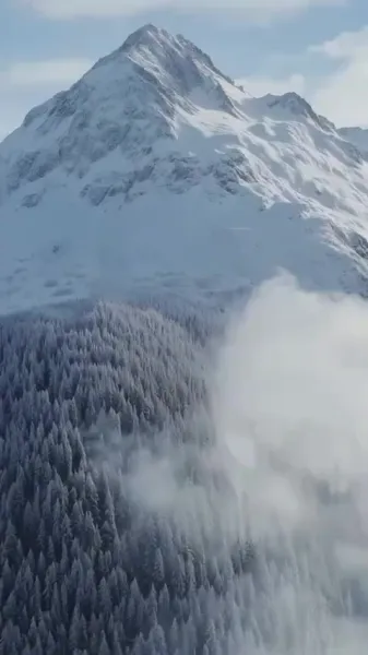 สัญญารึ้งสวาท