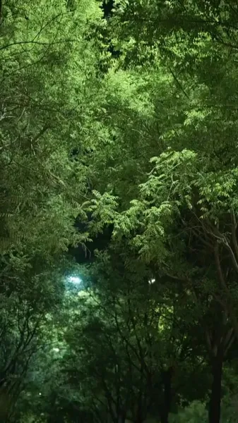 ที่รัก... ฉันกำลังจะแต่งงานแล้ว