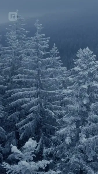 หนุ่มเมืองหนาวหวานใจบอสสาวไฮโซ